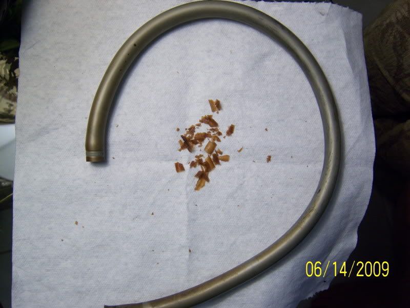 Gray fuel line The Hull Truth Boating and Fishing Forum